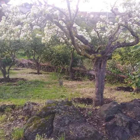 Il Giardino Di Galatea * Acireale
