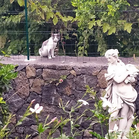 Il Giardino Di Galatea Bed & Breakfast *