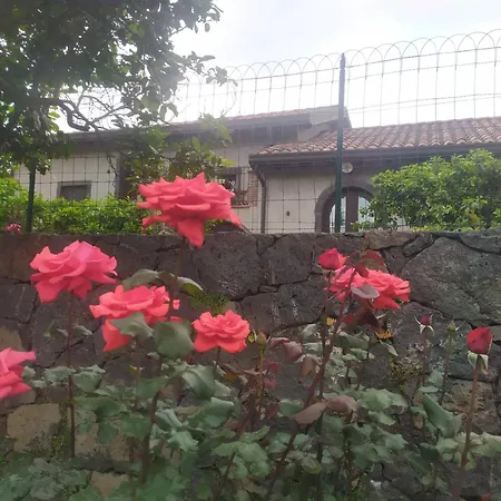 Il Giardino Di Galatea Acireale