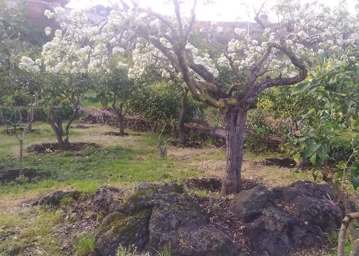 Il Giardino Di Galatea 4* Acireale