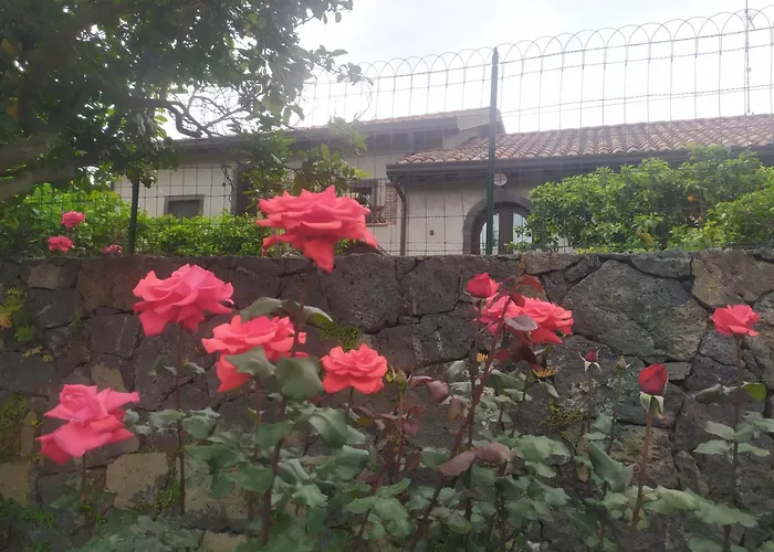 Il Giardino Di Galatea Acireale